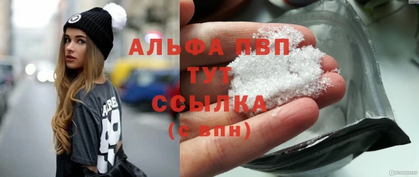 стафф Алзамай