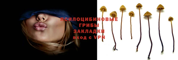 героин Алексеевка