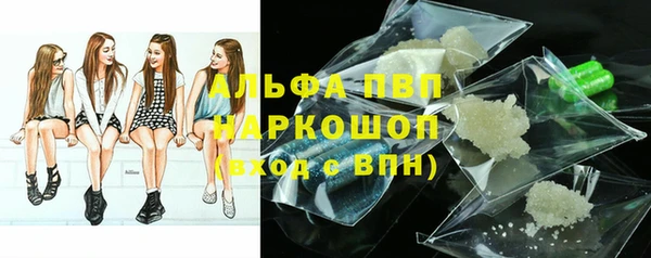 стафф Алзамай