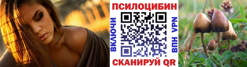Псилоцибиновые грибы мицелий  наркошоп  Краснознаменск 